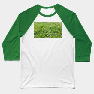 Spring grass, flowers, nature photo Baseball T-Shirt